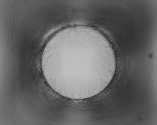 X0000115711160200912241538