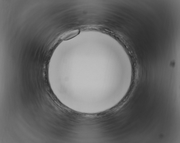 X0000115711161200912241538