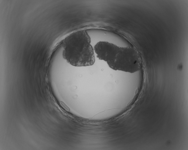 X0000115711164200912241538