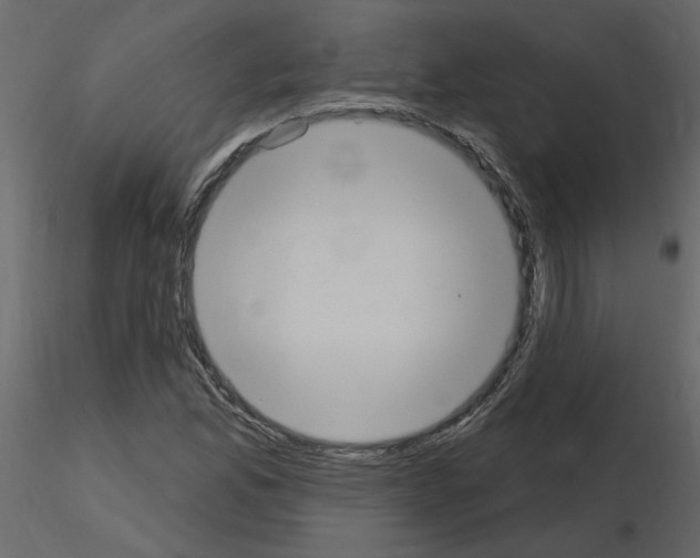 X0000115711165200912241537