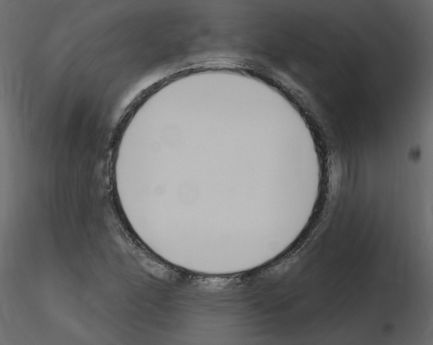 X0000115711166200912241537