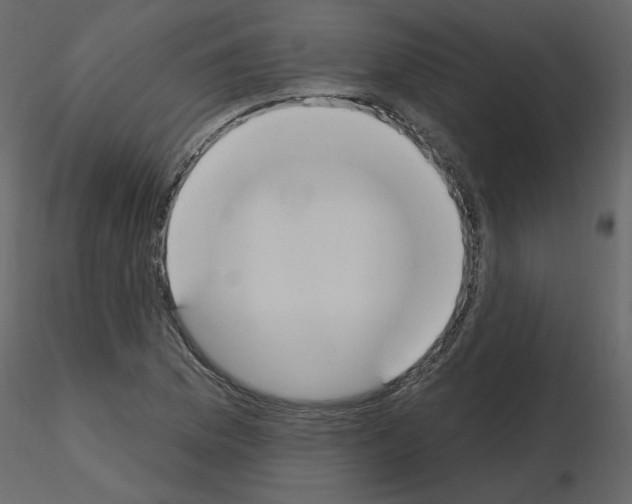 X0000115711169200912241537