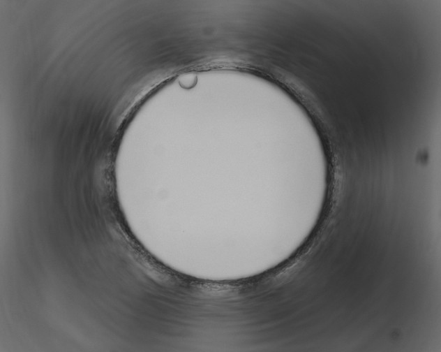 X0000115711170200912241537