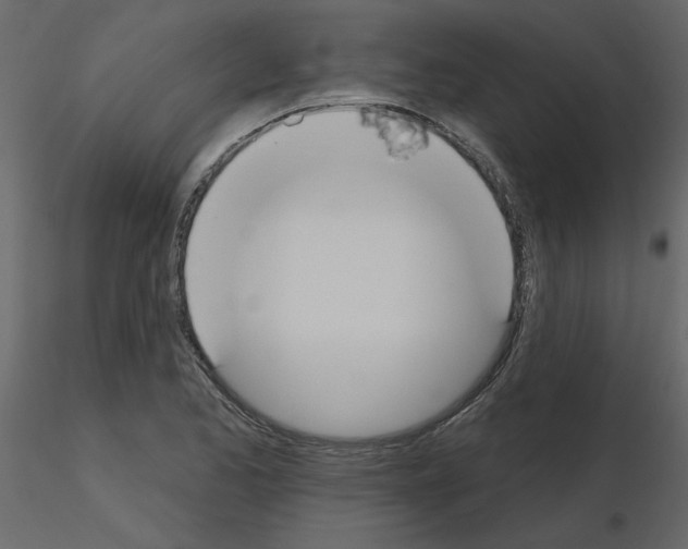 X0000115711173200912241537