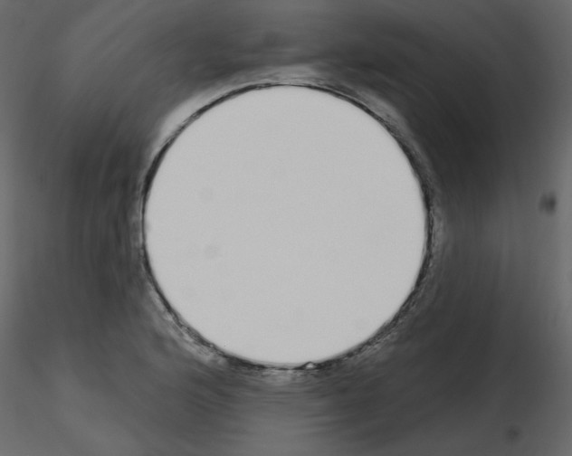 X0000115711176200912241537