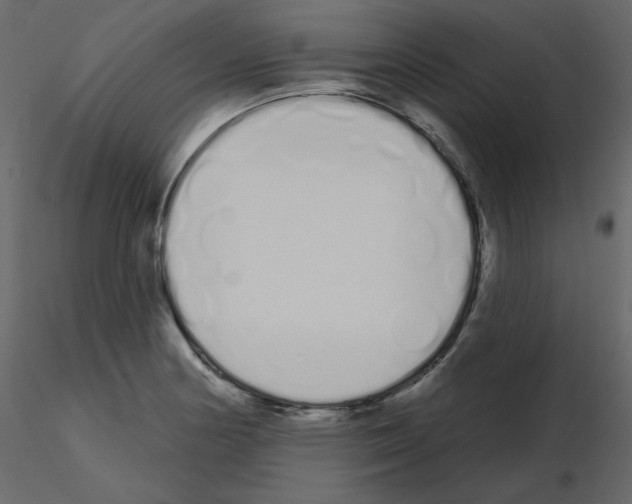 X0000115711178200912241537