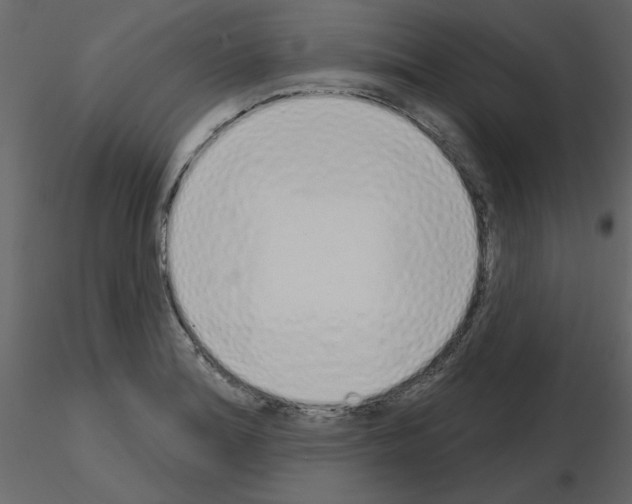 X0000115711180200912241537