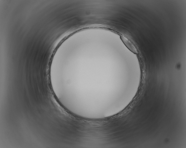 X0000115711181200912241537