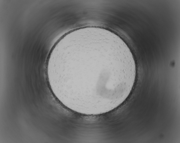 X0000115711182200912241537