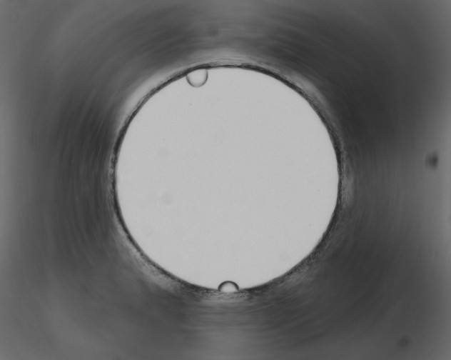 X0000115711183200912241537