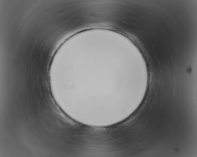 X0000115711184200912241537