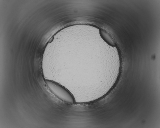 X0000115711185200912241537