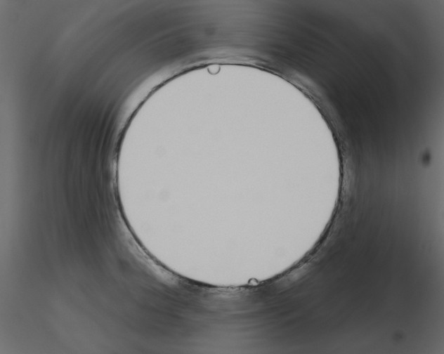 X0000115711188200912241537