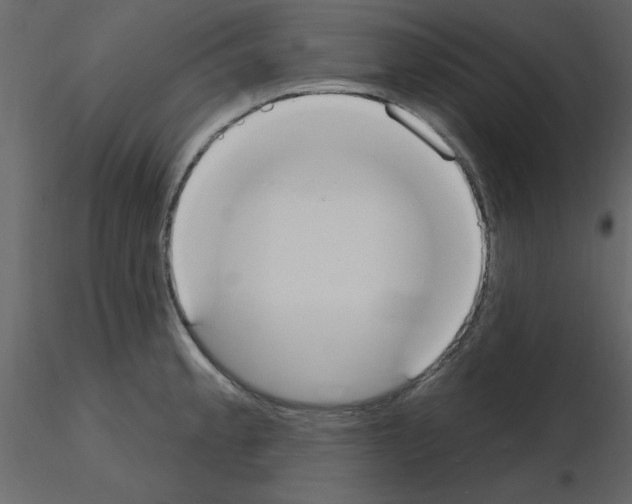 X0000115711189200912241537