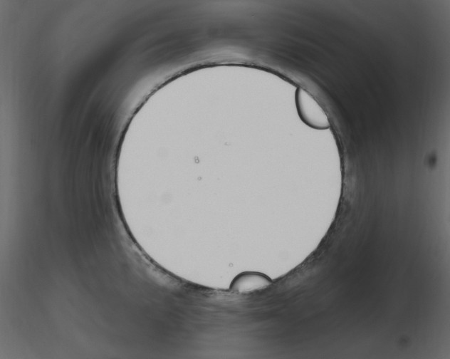 X0000115711191200912241537