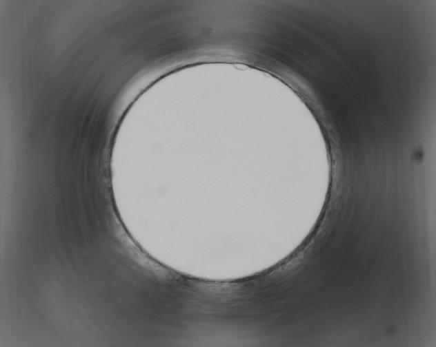 X0000115711192200912241537