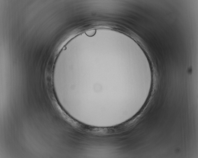 X0000115711194200912241537