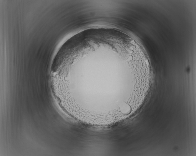 X0000115711195200912241537