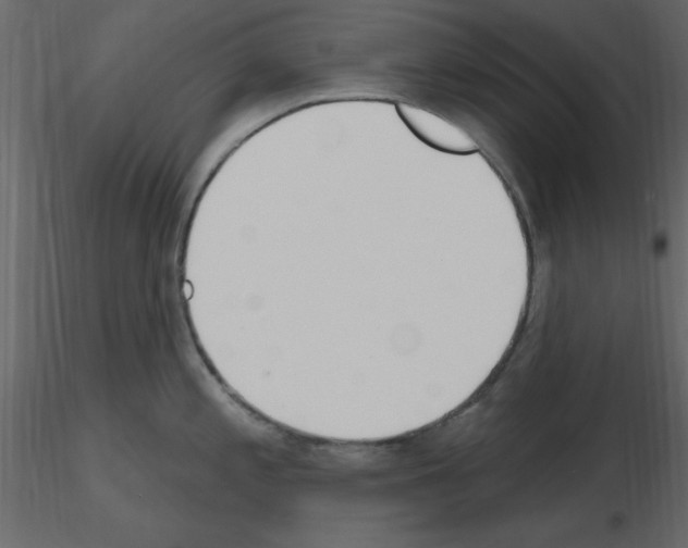 X0000115711197200912241537