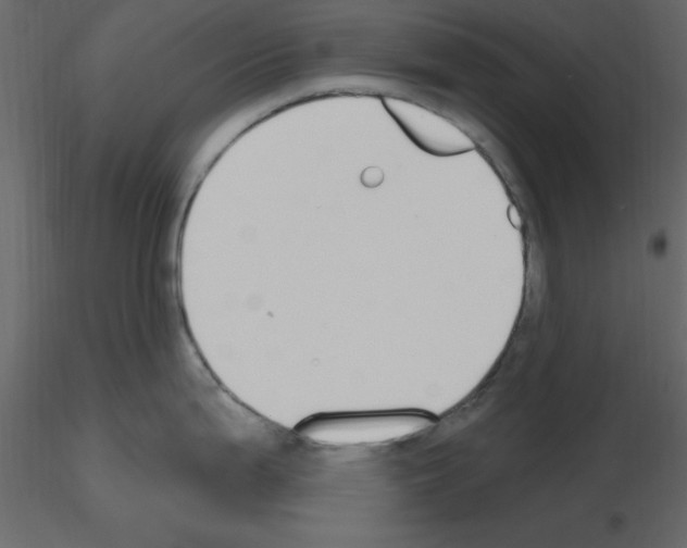 X0000115711199200912241537