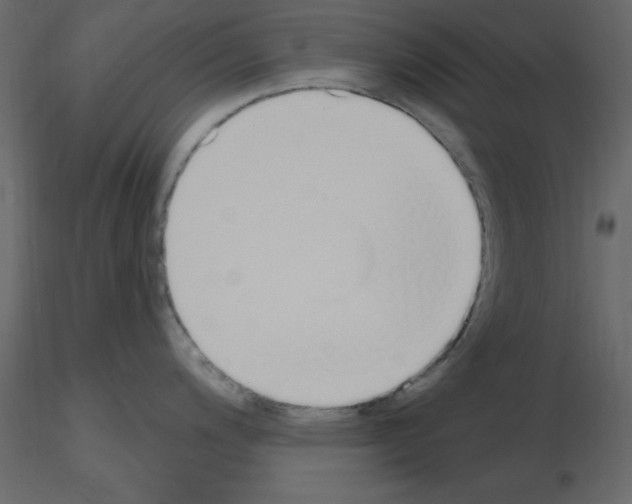 X0000115711200200912241537