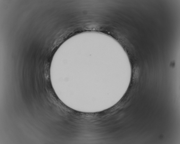 X0000115711202200912241536