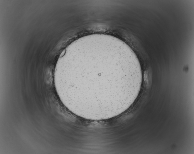 X0000115711203200912241536