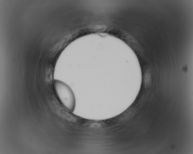 X0000115711204200912241536