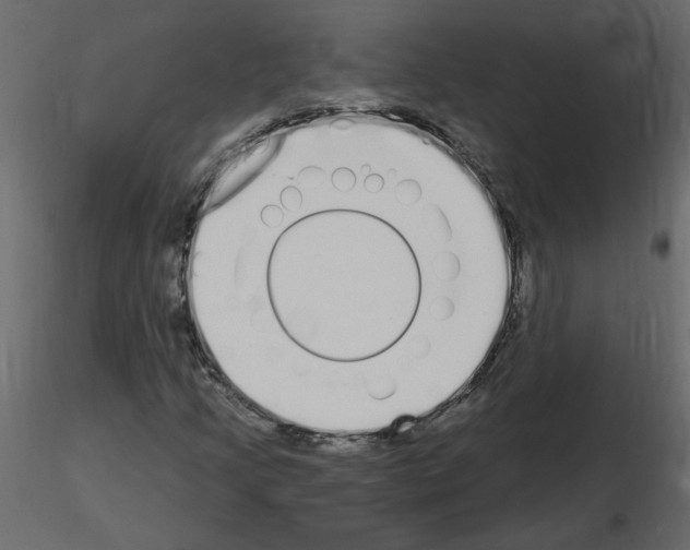 X0000115711205200912241536