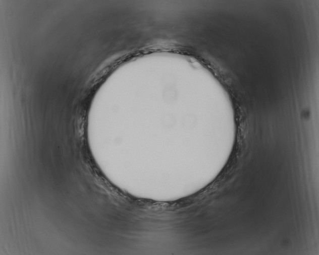 X0000115711206200912241536