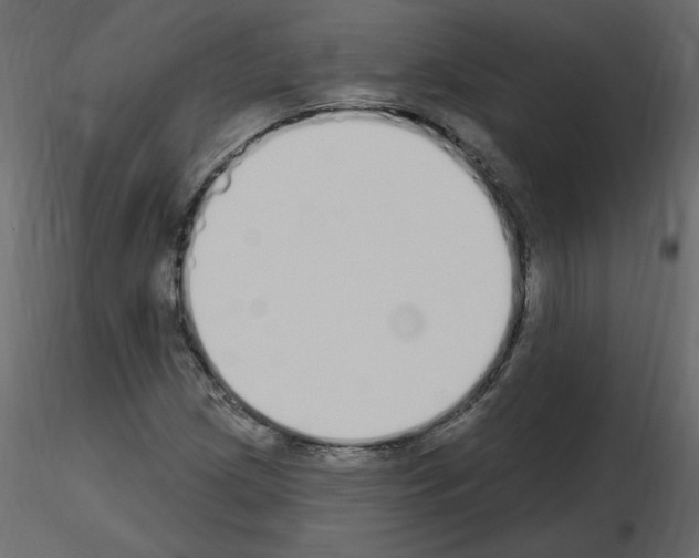 X0000115711209200912241536