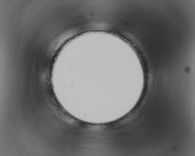 X0000115711210200912241536