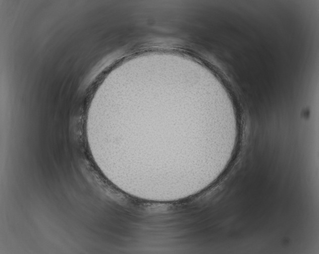 X0000115711211200912241537