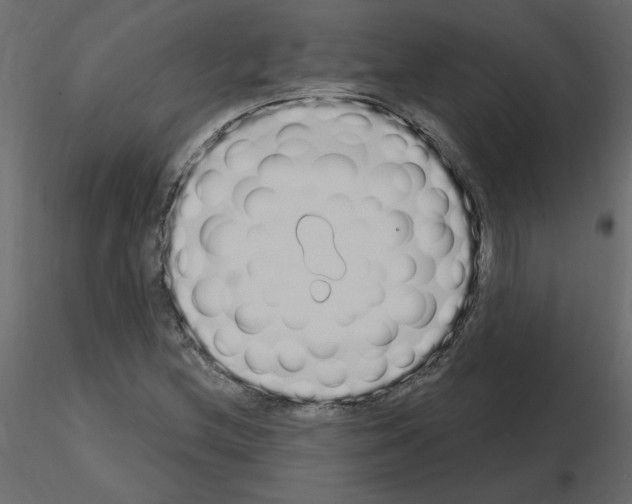 X0000115711212200912241537