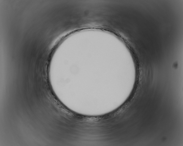 X0000115711214200912241537