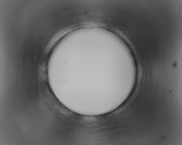 X0000115711215200912241537