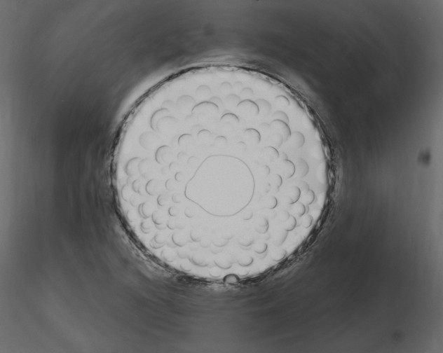 X0000115711216200912241537