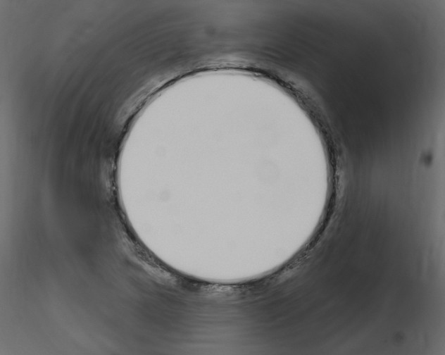 X0000115711217200912241537