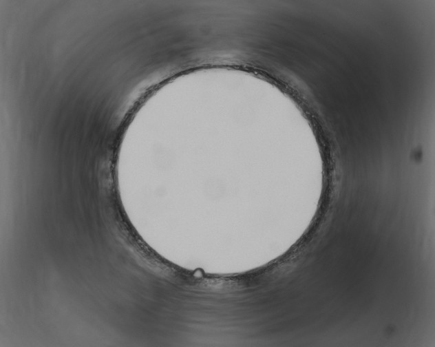 X0000115711218200912241537