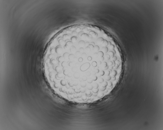 X0000115711220200912241537