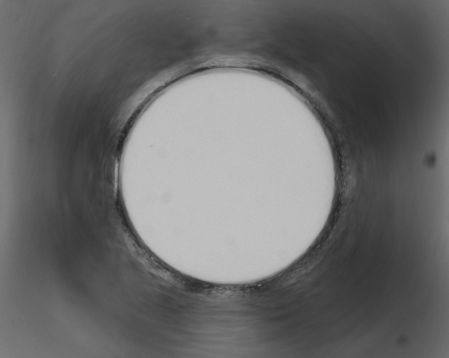 X0000115711221200912241537