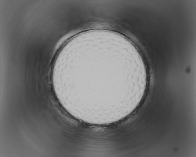 X0000115711222200912241537