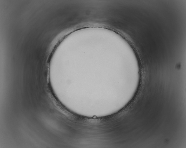 X0000115711223200912241537