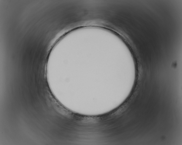 X0000115711224200912241537