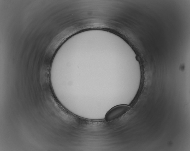 X0000115711225200912241537