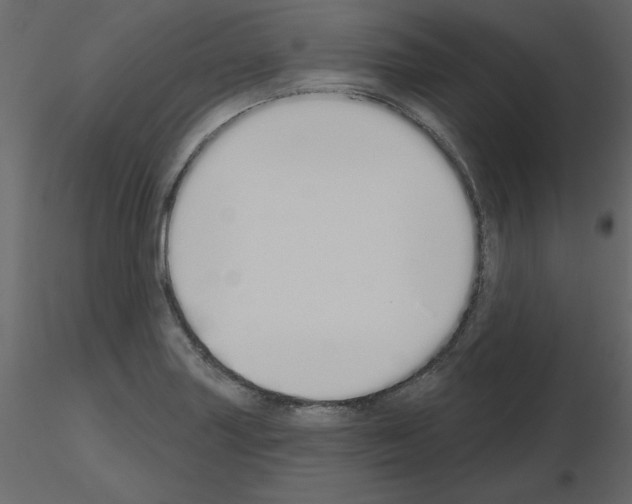 X0000115711227200912241537