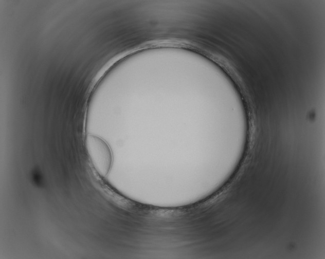 X0000115711228200912241537