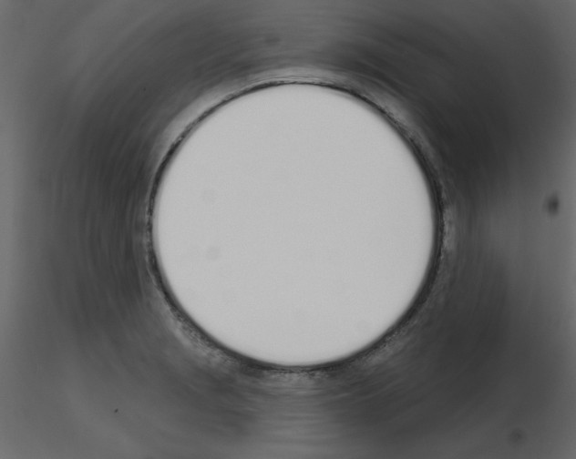 X0000115711229200912241537