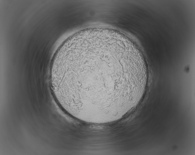 X0000115711231200912241537