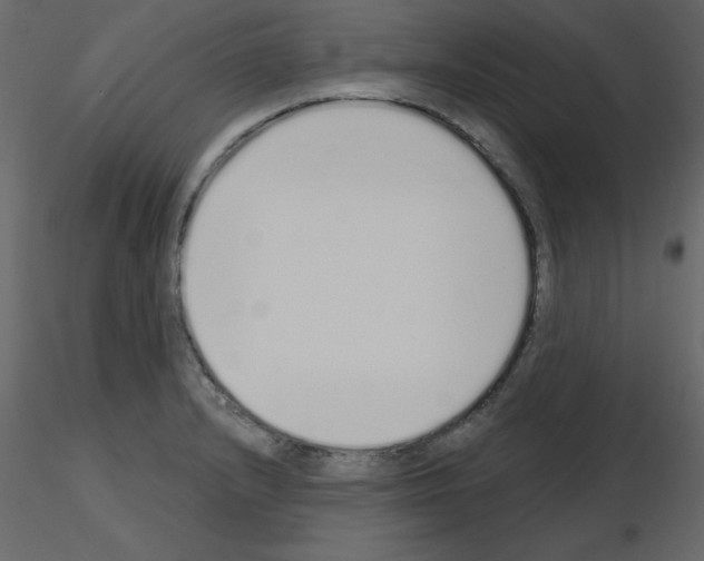 X0000115711232200912241537